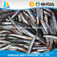 Good Quality Frozen Whole Round Anchovy